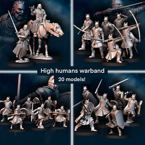 High Human Warband - Davale Games/Fantasy/Middle Earth - Imagen 1 de 1