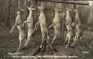 RPPC West Branch Michigan caza ciervos muertos colgando en línea foto real PC - Imagen 1 de 2