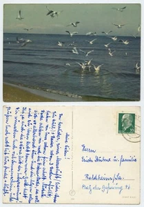 117590 - Möwen am Ostseestrand - Ansichtskarte, gelaufen 9.7.1962 - Bild 1 von 2