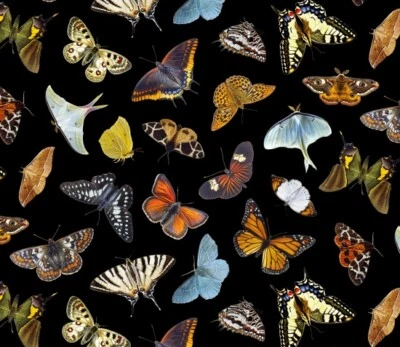 ELIZABETH'S STUDIO Fat Quarter Butterflies And Moths Black 100% Cotton Quilting Fabric