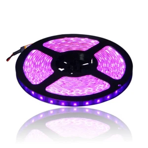LED Streifen 5m 5000cm Pink/Rosa 5050 LED SMD Strip 60LED/M Leiste Wasserdicht - Picture 1 of 1