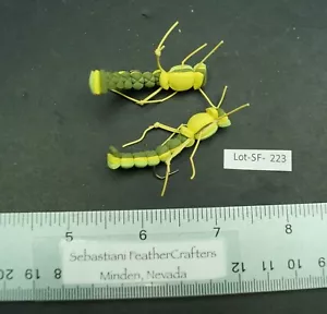 Zwei #8 Dreidecker Hopper Fliegen Lot-SF 223 - Bild 1 von 2