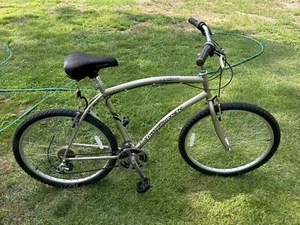 Diamondback Wildwood - 22” Frame - Serial Number IA8G05041 - Picture 1 of 21