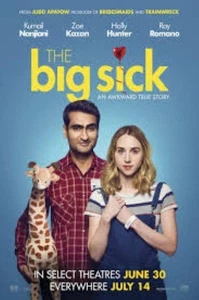 The Big Sick DVD ** Disc Only ** WS - disc is New - Picture 1 of 3