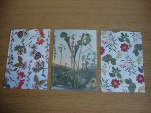 3 verschiedene Postkarten der Royal Horticultural Society - nagelneu & unbenutzt - Bild 1 von 5