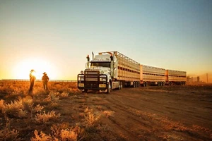MACK TRUCKS POSTER, BARGAIN, KENWORTH,FREIGHTLINER,WESTERN STAR,TYRES,ENGINE - Picture 1 of 1