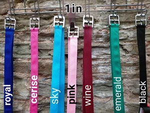 24” WEB STIRRUP LEATHERS PAIR 60cm CHILD & ADULT 1in 25mm wide webbing SYNTHETIC - Picture 1 of 51