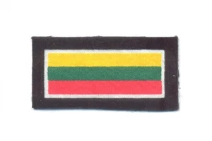 LITHUANIA Army National Flag shoulder patch, full color, NATO Baltics - Picture 1 of 1