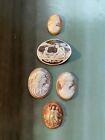 5 Cameo inserts - 4 Fine Detail Antique Shell + 1 Resin/Plastic Jewellery Making