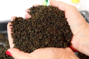 Fermented Ivan Tea black FIREWEED Organic Natural wild-crafte71 g 2.5 oz Russian - Picture 1 of 3