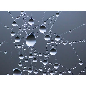 Sjöström Tau auf Spinnennetz Makro extragroßer Leinwanddruck - Bild 1 von 6