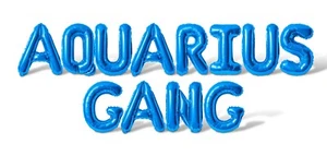 AQUARIUS GANG Letter Balloon Banner - 10 Color Options - Birthday Party Decor - Picture 1 of 55