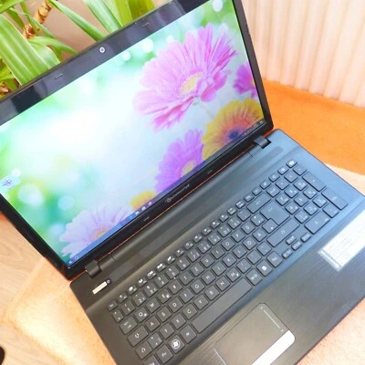 PB LS11 17 Zoll HDPLUS l 1TB SSD Windows 10 l Desktop Replacement Notebook HDMI - Bild 1 von 4