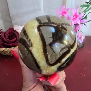 Large 72mm 1lb 2oz Dragon Septarian Crystal Sphere Yellow Brown - Picture 1 of 5