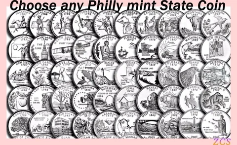 1999 - 2008 P or D Choose Any State Hood Quarters From U.S. Mint Coin Rolls Cover