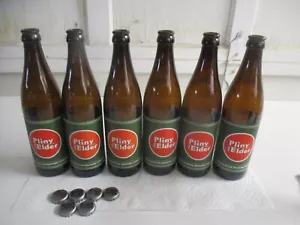 6 Empty Pliny The Elder Empty Beer Bottle with cap's - Picture 1 of 8