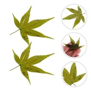 Bandeja para servir hojas de arce de sushi 1 bolsa con telón de fondo de sashimi bandeja de sushi japonesa - Imagen 1 de 12