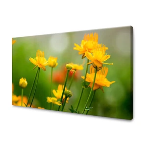 CANVAS Leinwandbilder XXL Wandbilder Kunstdruck Gelbe Blüten 40x30 bis 120x80 - Bild 1 von 4