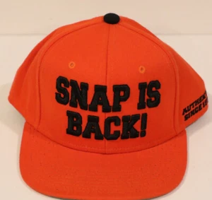 Dickies Hat, Dickies Work Cap. Dickies  Snap Back , NWT  grey H4 - Picture 1 of 5