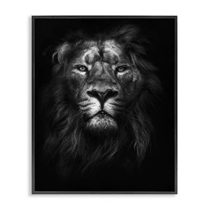 King of The Jungle Lion in Shadows White Photography Black Framed Wall Art, 1... - Picture 1 of 9