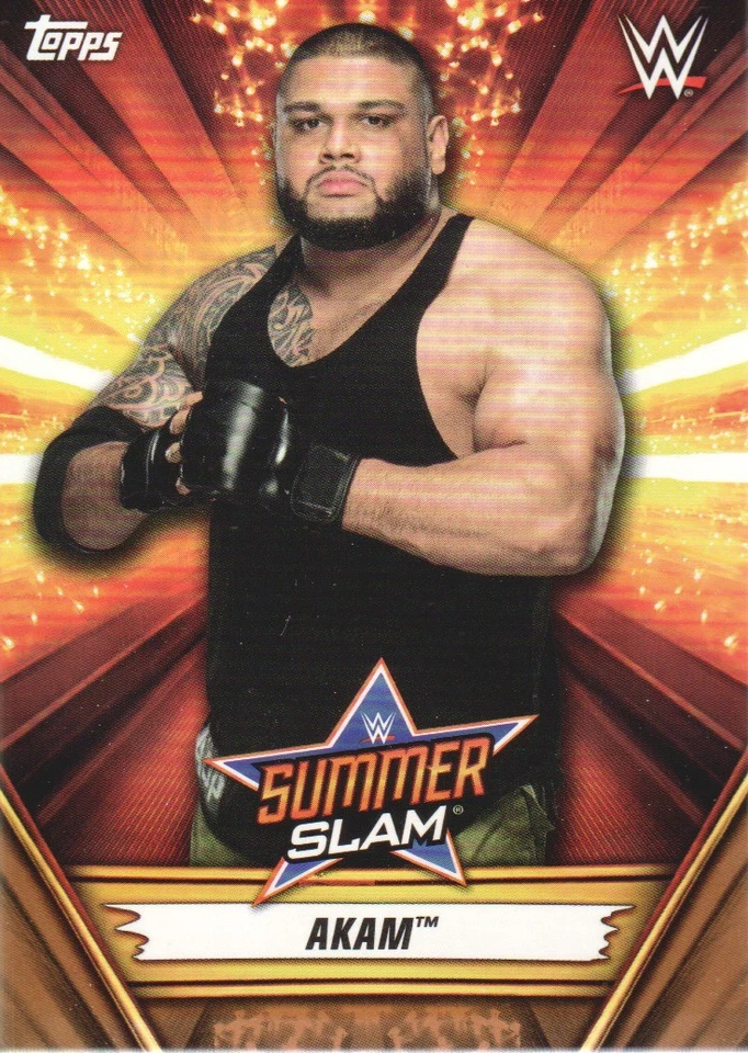 2019 Topps WWE SummerSlam Bronze Parallel Wrestling Cards Pick from List - Image 1 of 1