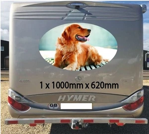 GOLDEN RETRIEVER 1000MM GRAPHICS STICKERS CAMPERVAN CARAVAN HORSEBOX MOTORHOME - Picture 1 of 1