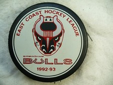 ECHL Birmingham Bulls '92-93  Team Logo Secor As Back Hockey Puck Collect Pucks
