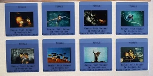 P256 8x Dias + Pressefoto + Infoblatt TUVALU Denis Lavant  Chulpan Hamatova - Bild 1 von 6