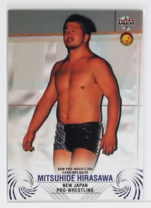 Tarjeta coleccionable MITSUHIDE HIRASAWA - 2009 BBM Pro-Wrestling - Imagen 1 de 3