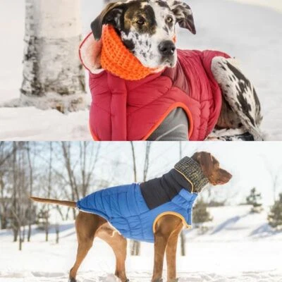 Hundemantel Wintermantel Hund Jacke GF Pet SCOUT Jacke blau od. rot S - XL