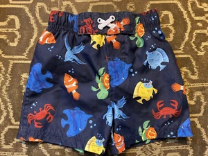 CIrco Boy Swim Shorts Size 12M - Picture 1 of 3