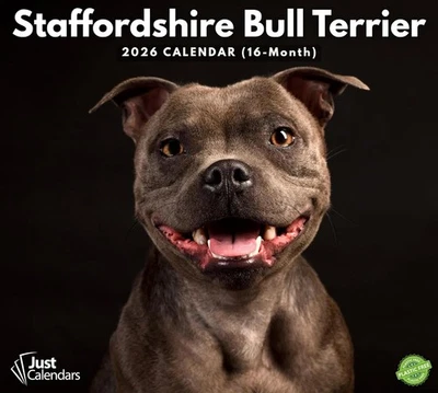 2026 Staffordshire Bull Terrier Deluxe Wall Calendar | 16-Month Multicolor  - Image 1 of 4