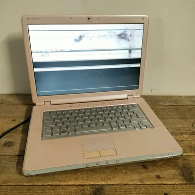 PC Netbook Laptop Sony Vaio Laptop  15.6' Intel Pentium 4GB Ram 250GB HDD  - Immagine 1 di 4