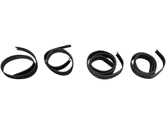 DIY Solutions Door Window Glass Run Channel fits Dodge B300 Van 1971-1974 16VHVN - Image 1 of 1