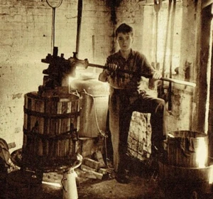 George Ordish Producing Wine Vine House Yalding 1952 2 Page Photo Article Q757 - Picture 1 of 3