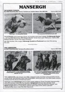 BORDER TERRIER HUNDEWELT 1990 RASSEZWINGER WERBUNG DRUCKSEITE MANSERGH KENNELS - Bild 1 von 1
