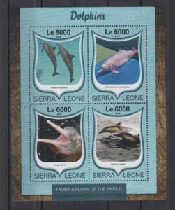 D647. Sierra Leone - MNH - 2016 - Fauna - Tiere - Meereslebewesen - Delfine - Bild 1 von 1