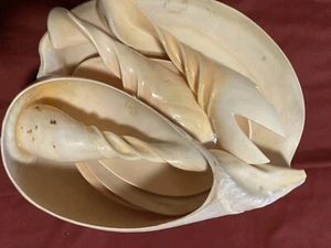 Conch Sea Shell Serving Bowl Saucers Plates Fork Spoon Real Shell - Picture 1 of 9