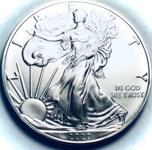 Moneta Walking Liberty 2020 American Silver Eagle Dollar .999 fine 1-Troy oz OBR - Foto 1 di 3