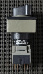 FUJI ELECTRIC AG225-P2B11 2-POSITION PILOT SELECTOR SWITCH - Picture 1 of 6