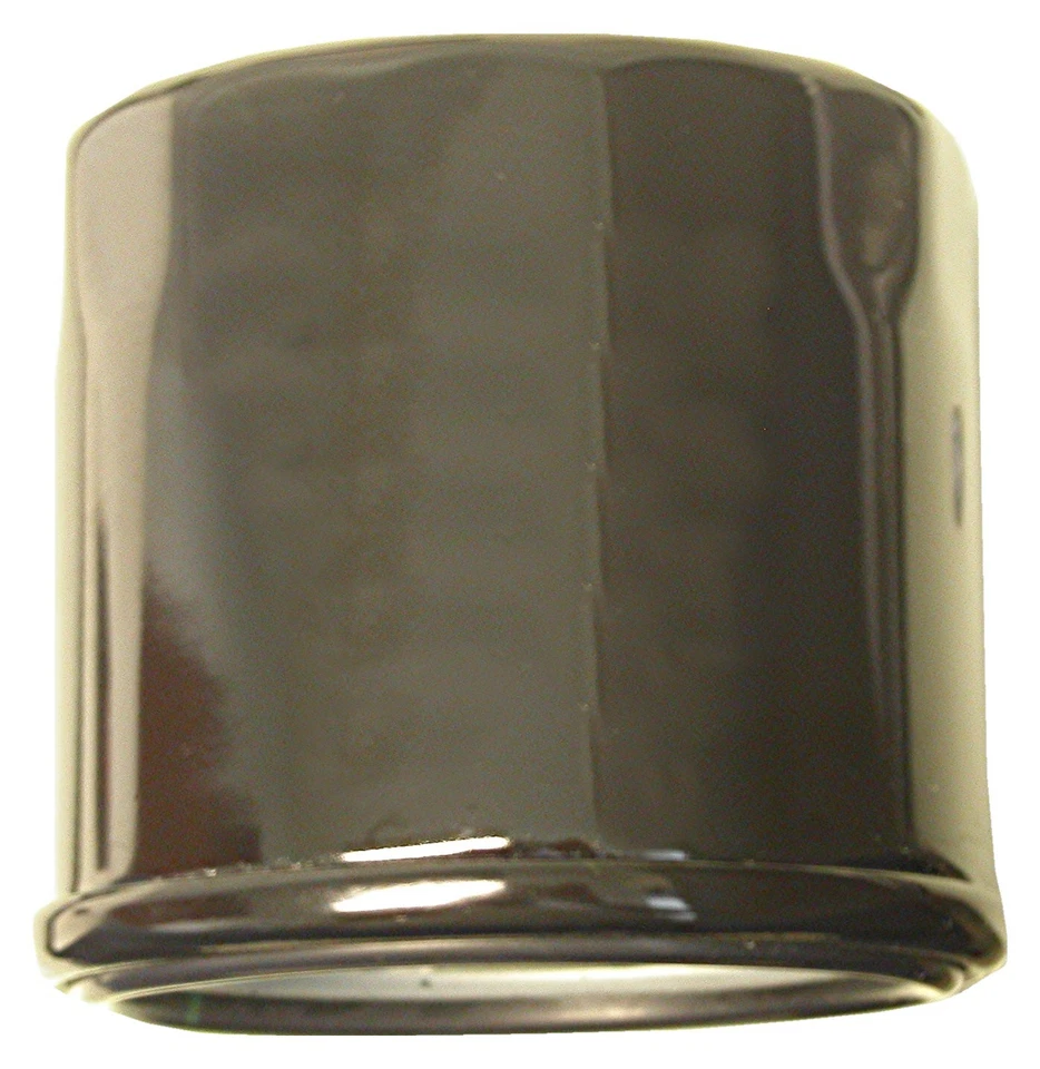 Filtro de aceite para Triumph Daytona 955i 2004 (EFI) (SSSA) Foto 1 de 1