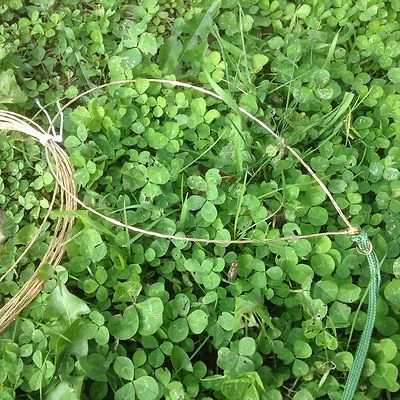 10 NEW BRASS RABBIT WIRES WITH BRASS FREE RUNNING EYE HUNTING SURVIVAL SNARE - Image 1 of 4