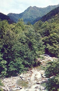 Little Pigeon River And The Chimney Tops Postcard Tennessee Unposted - Picture 1 of 2