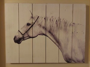 SCHÖNES WEISSES PFERD BILD AUF HOLZ, WANDBEHANG - HOBBY LOBBY - LANDHOF BAUERNHOF - Bild 1 von 12