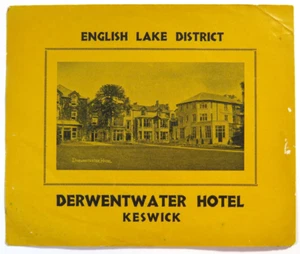 Vintage Luggage Label Derwentwater Hotel Keswick English Lake District - Picture 1 of 2