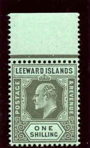 Leeward Islands 1907 KEVII 1s black/green superb MNH. SG 43. Sc 38. - Picture 1 of 2