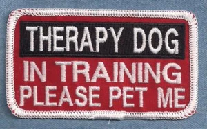 TERAPIA PERRO EN ENTRENAMIENTO PLEASE PET ME Servicio Perro Parche chaleco - Imagen 1 de 1
