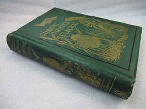 1888 The Natural History and Antiquities of Selbourne - Gilbert White - Fine - Imagen 1 de 13