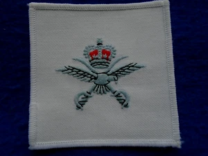 REAL FUERZA AÉREA, RAF, INSTRUCTORES DE ENTRENAMIENTO FÍSICO BORDADO CHALECO INSIGNIA - Imagen 1 de 2