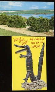 2 VINTAGE FLORIDA POSTKARTEN MIT 2C BRIEFMARKEN (V638) UNBENUTZT - Bild 1 von 2
